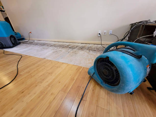 Reliable Crawl Space Water Removal contractor in Ramseur, NC by Hirex Water Damage